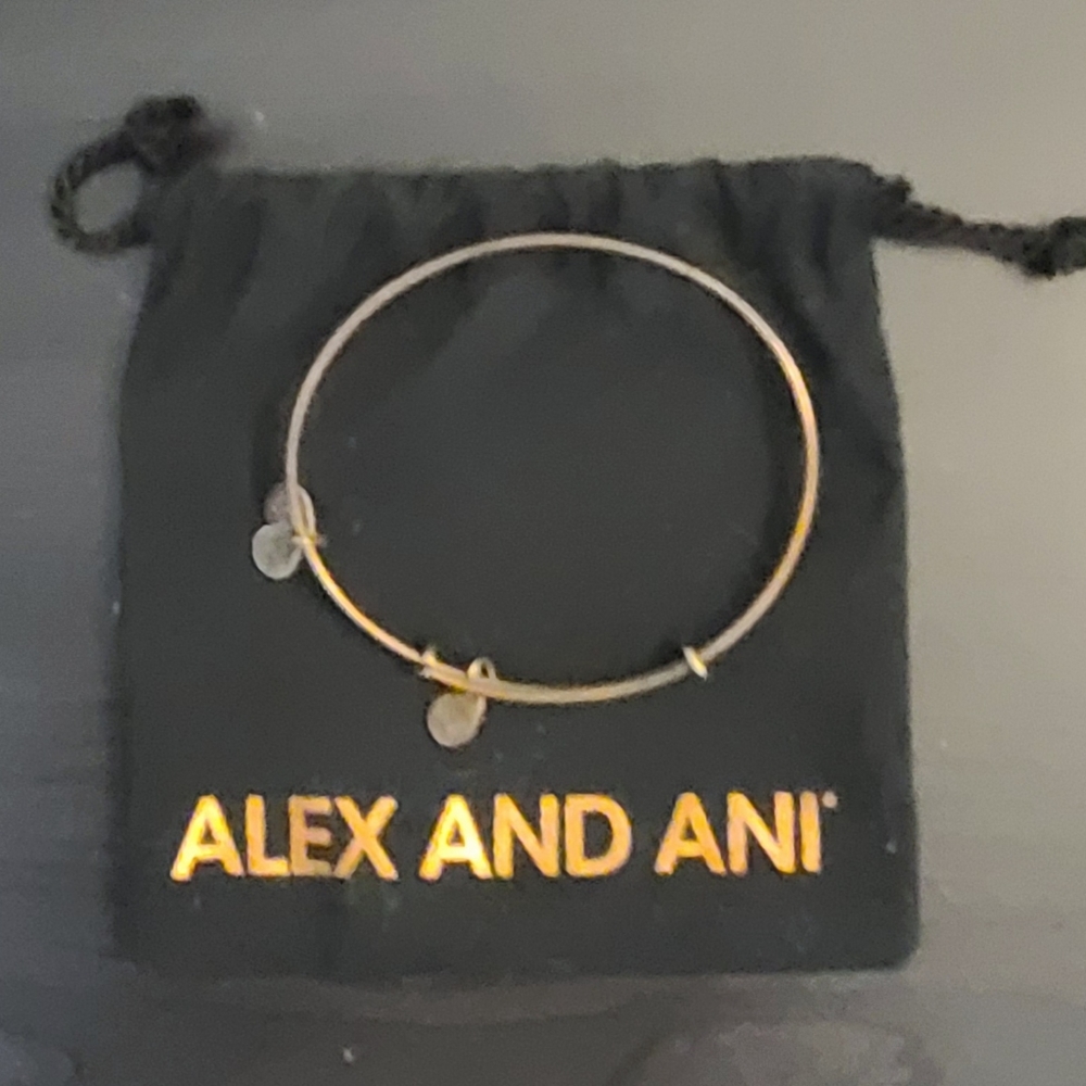 Alex and Ani bracelet